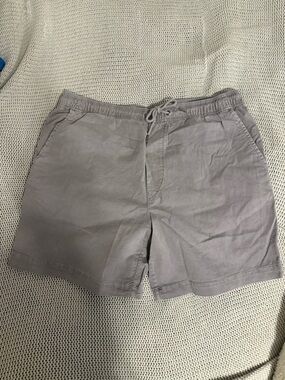 American Eagle Outfitters Men's Light Gray Drawstring Athletic Shorts